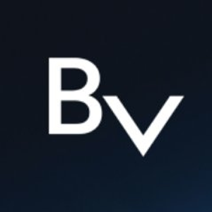 BLOCKv ico BLOCKv ico